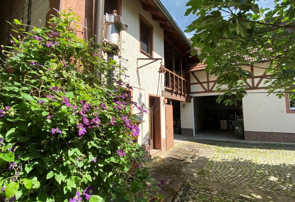 Einfamilienhaus mit großem Garten und Scheune in Weinheim-Lützelsachsen – Bild 3