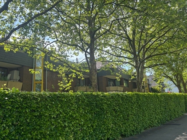 Frontansicht