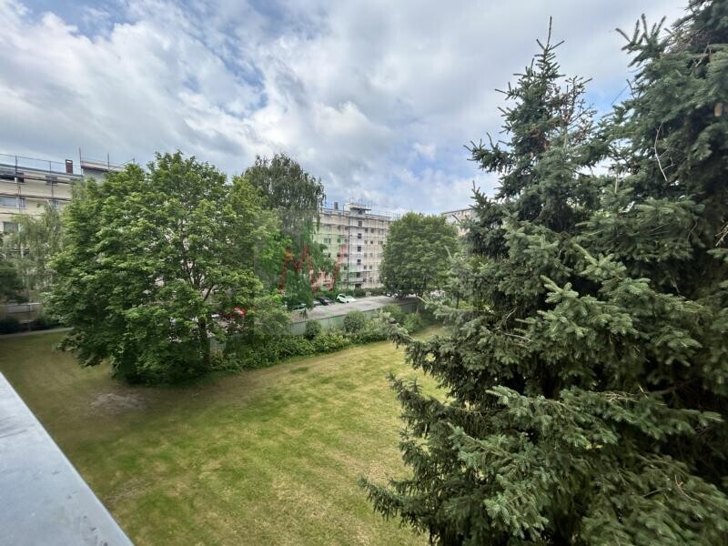 Ausblick in den Garten