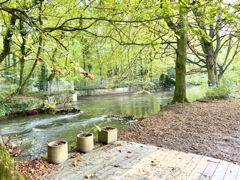Schwabinger Bach mit Zugang