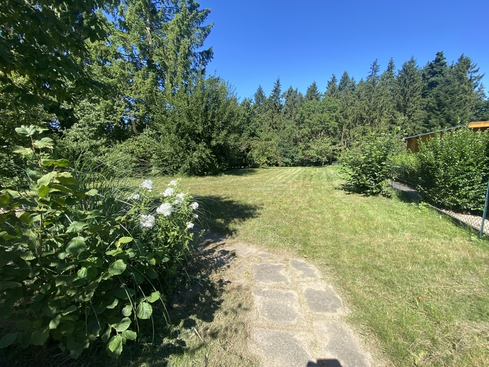 Rasenfläche hinter dem Haus