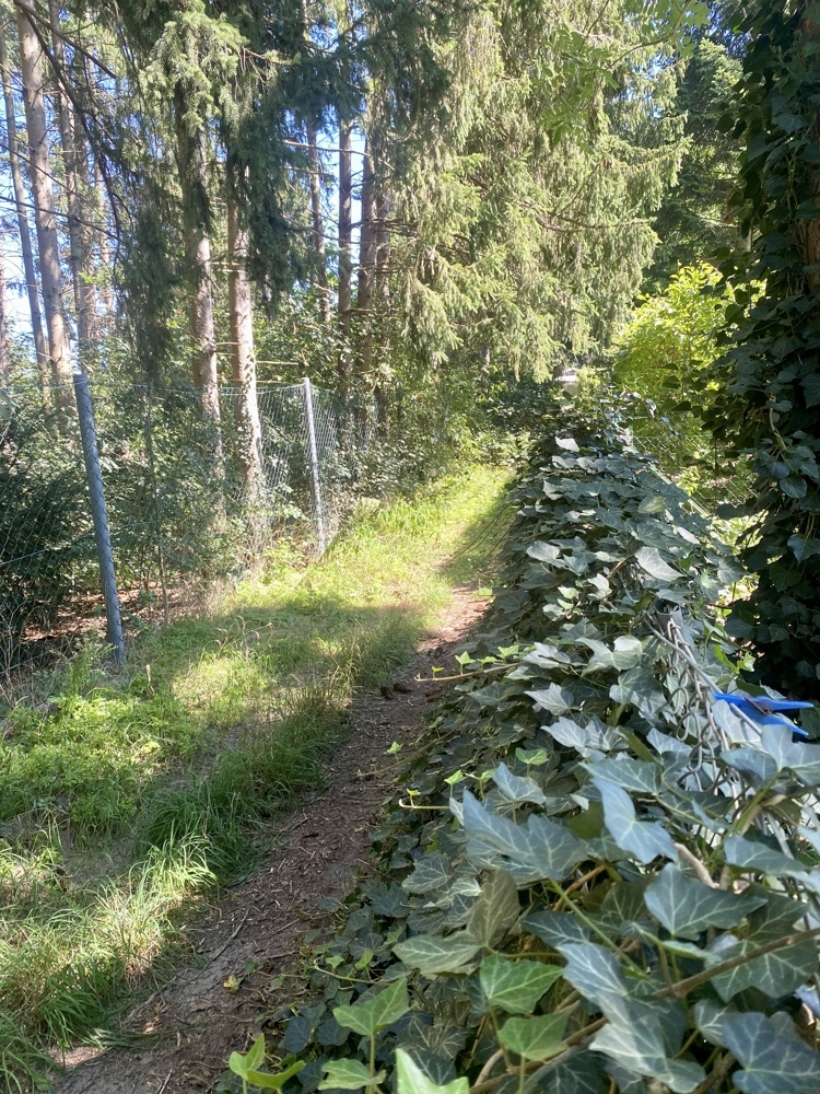 Fußweg hinter dem Grdst