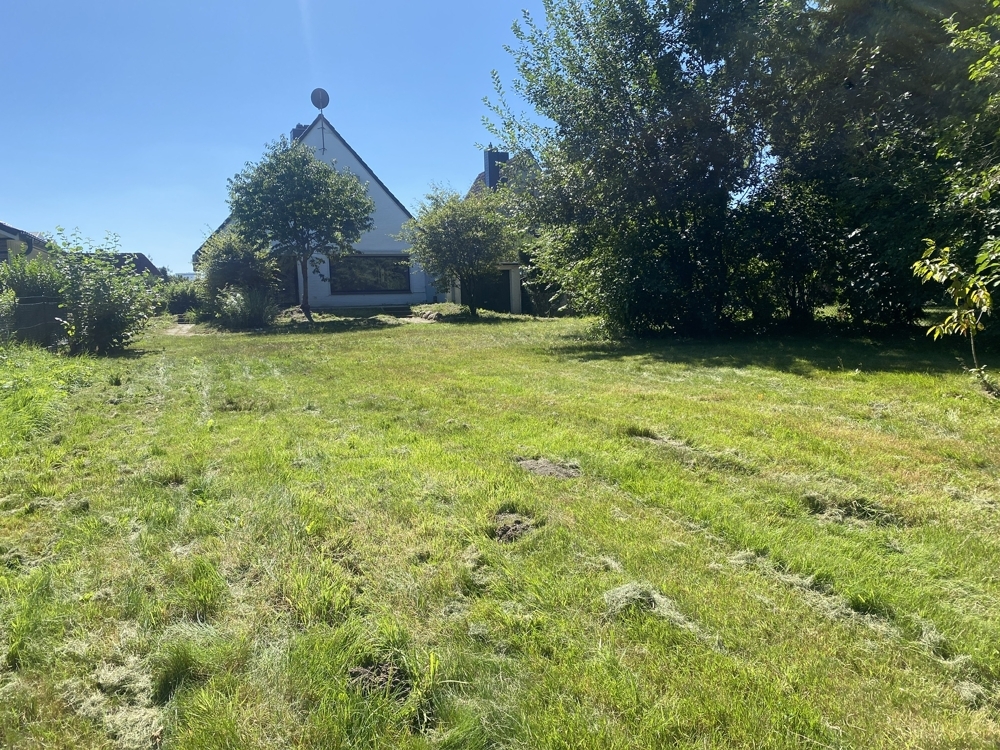 großes Rasengrundstück