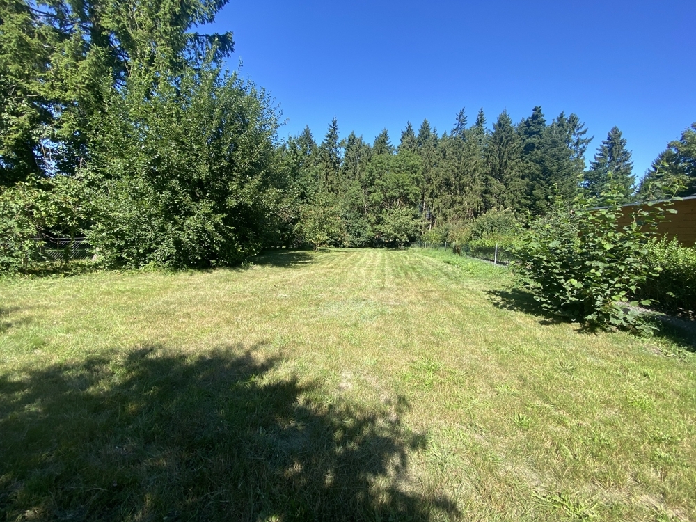 Grundstücvk mit Baumbestand