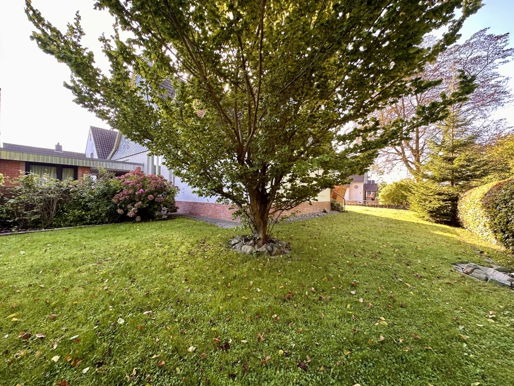 Großer Garten mit Rasen