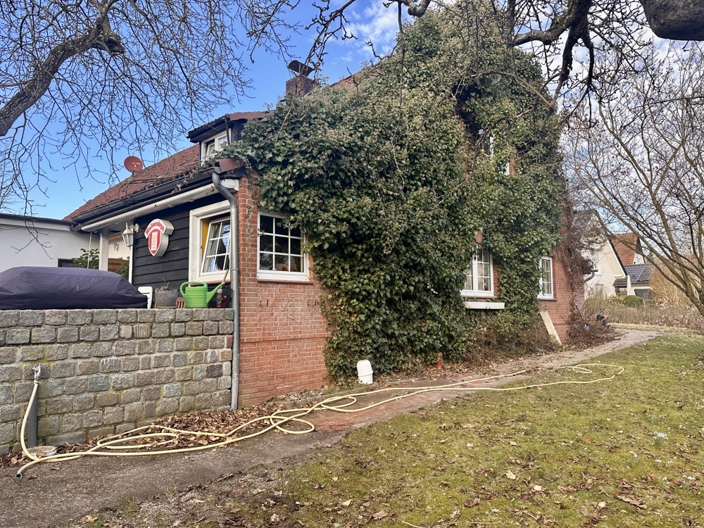 Seitenansicht des Hauses