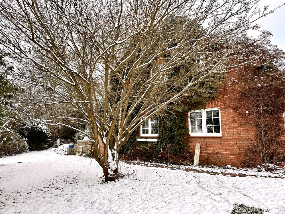 Seitenansicht mit altem Baumbestand