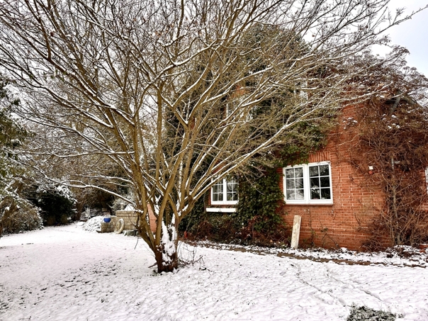 Seitenansicht mit altem Baumbestand