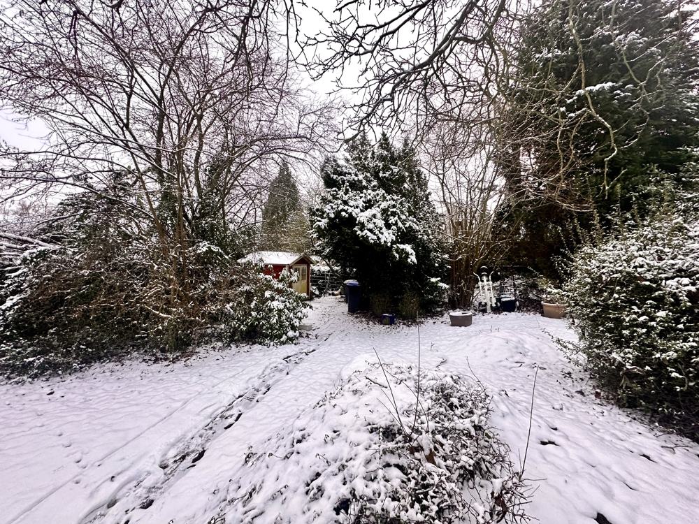 Großer, wilder Garten