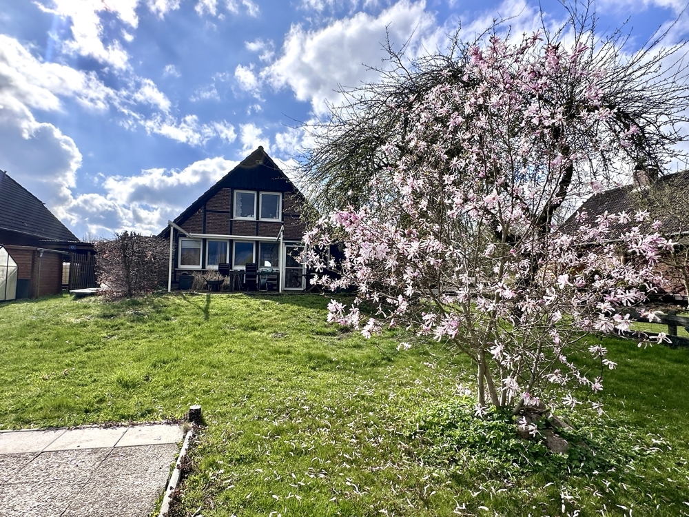 Magnolie, Apfelbaum und viel Gemütlichkeit