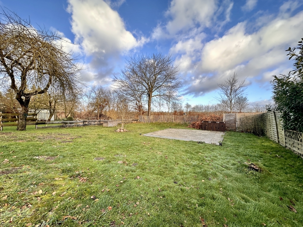 Grüner Garten mit Platz für den Pool