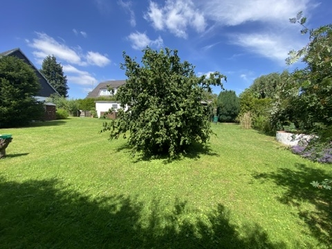 Rasengrundstück