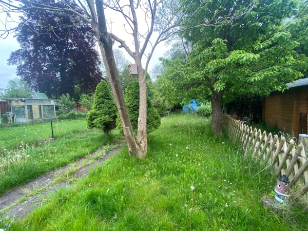 Naturnaher Garten mit Baumbestand
