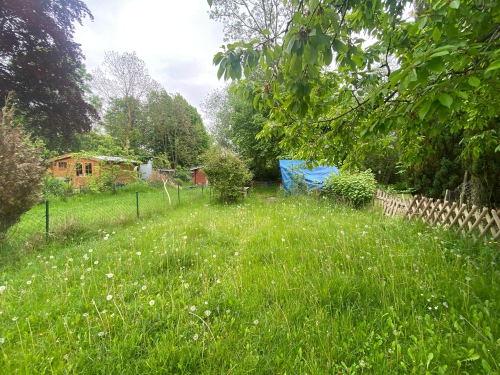 Rasenfläche zum Erholen