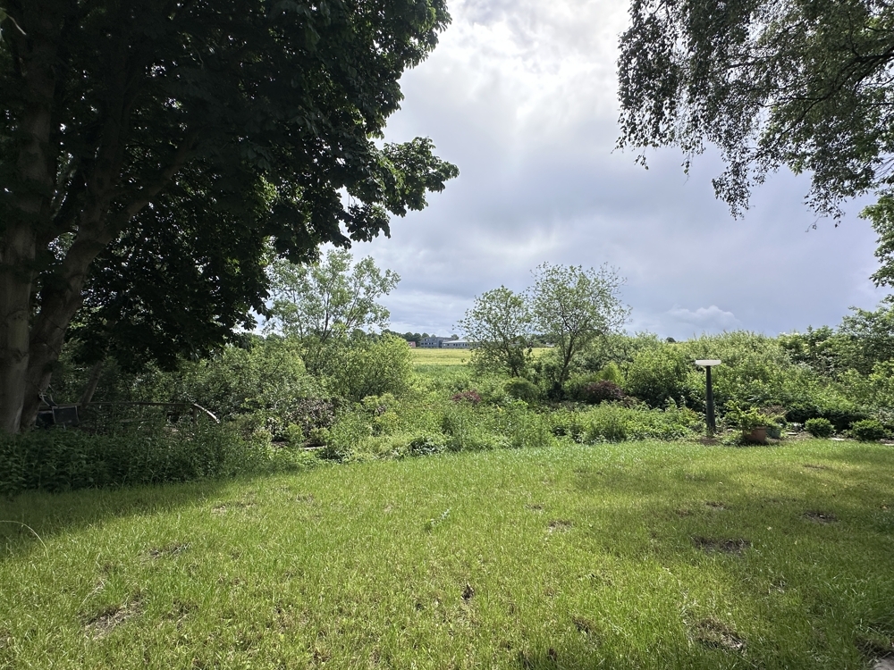 Ausblick von der hinteren Gartenfläche