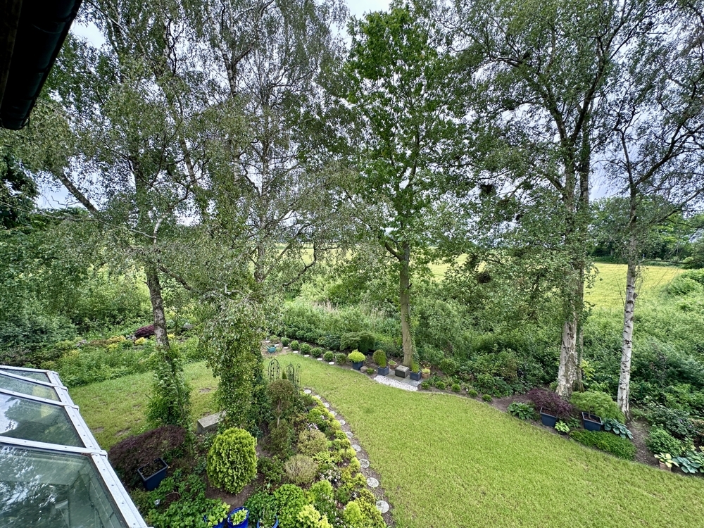 Grüner Blick vom Balkon