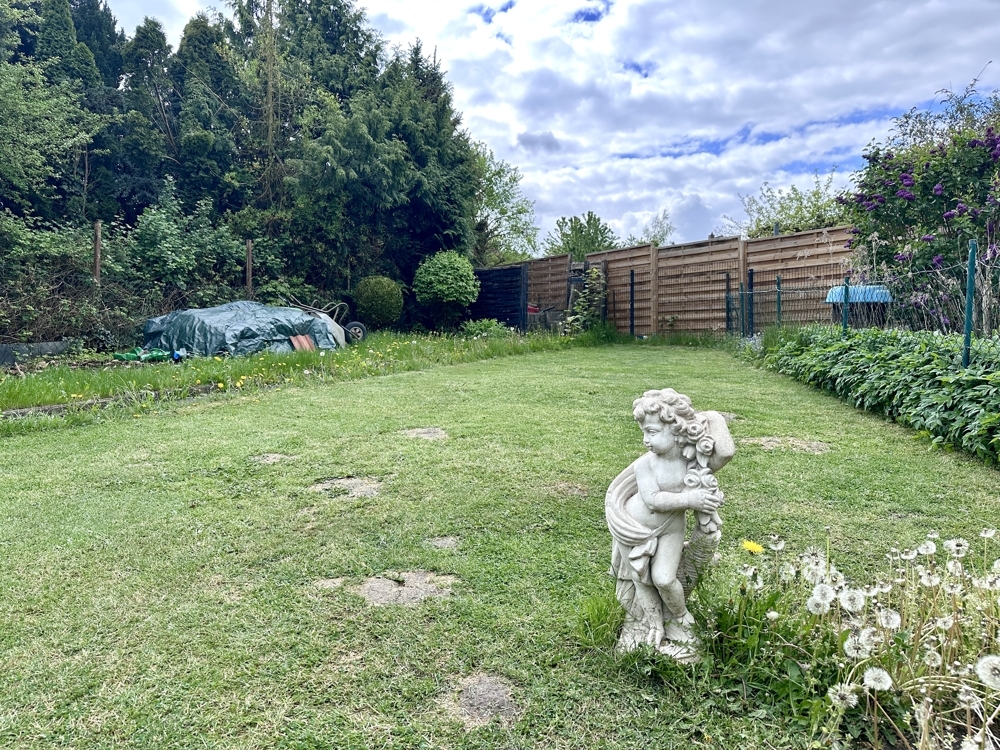 Rasen- und Gartenfläche
