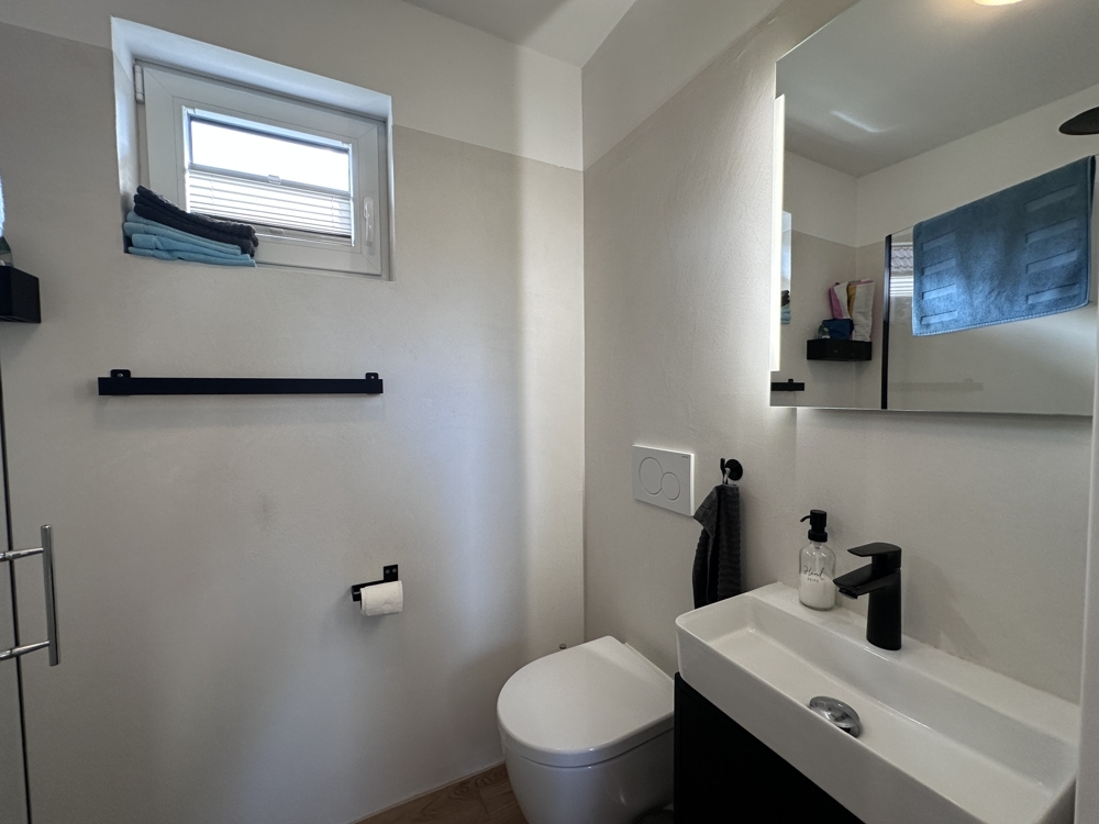 Gäste-WC mit Dusche