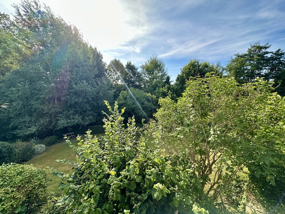 Ausblick in den Garten vom Balkon