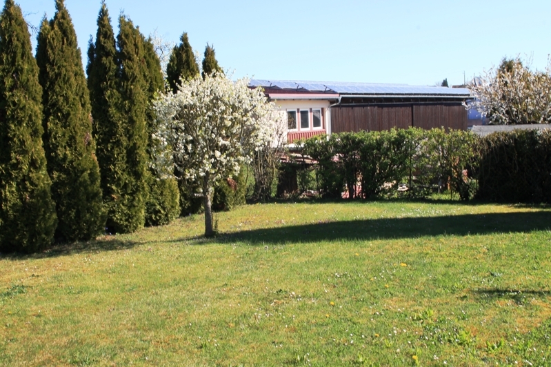 Garten für Sonnenanbeter