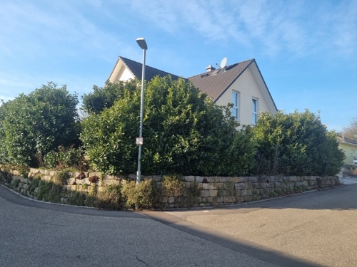 Ansicht-Straßenseite