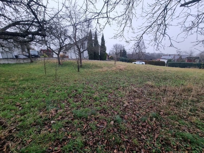 blick vom Grundstück