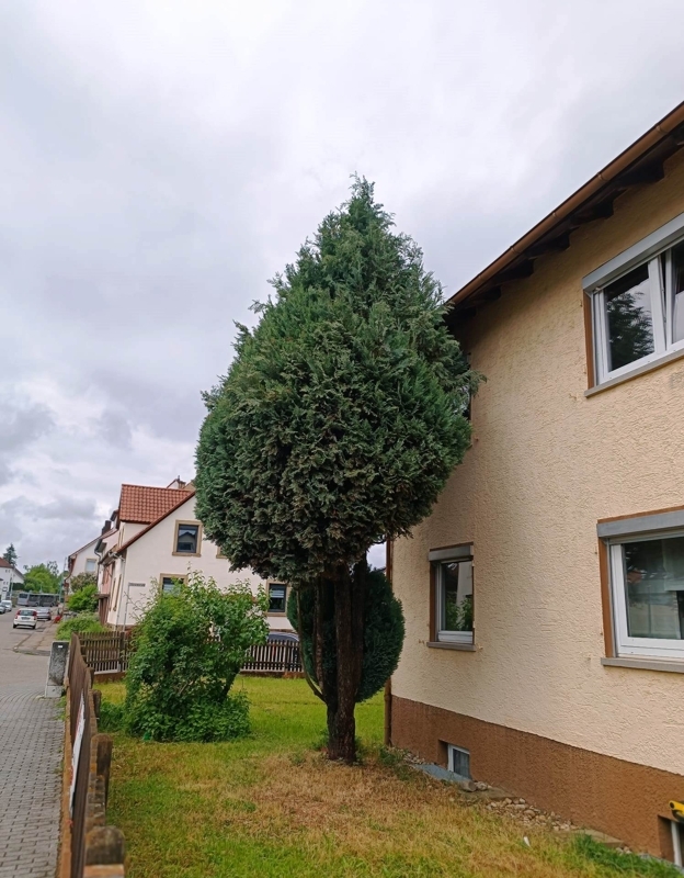 Seitenansicht
