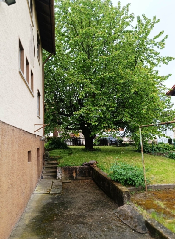 Garten hinter dem Haus