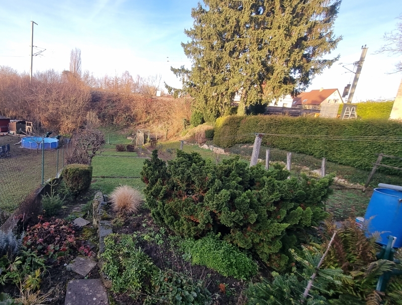 Garten vieler Möglichkeiten