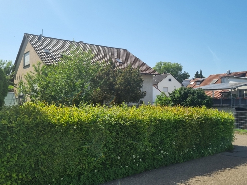 Ruhige Lage-Blickgeschützt