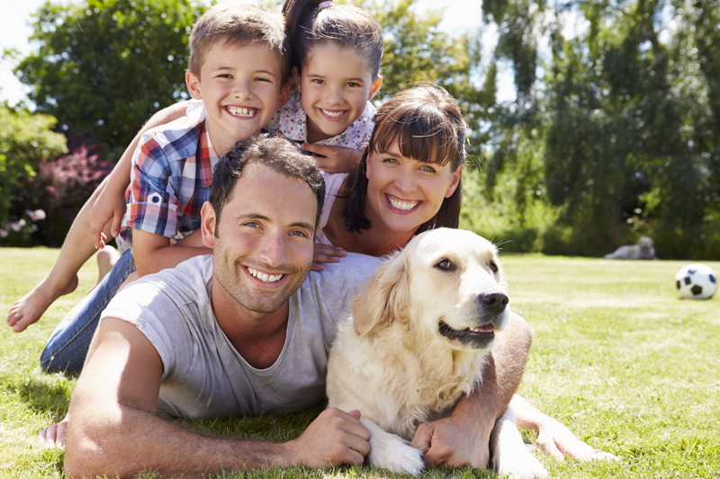 Neues Zuhause für die Familie