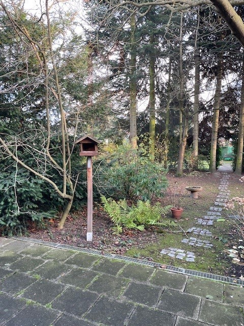 Garten 2