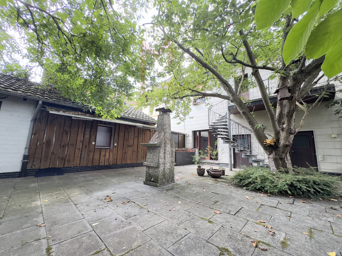 Seitliche Rückansicht