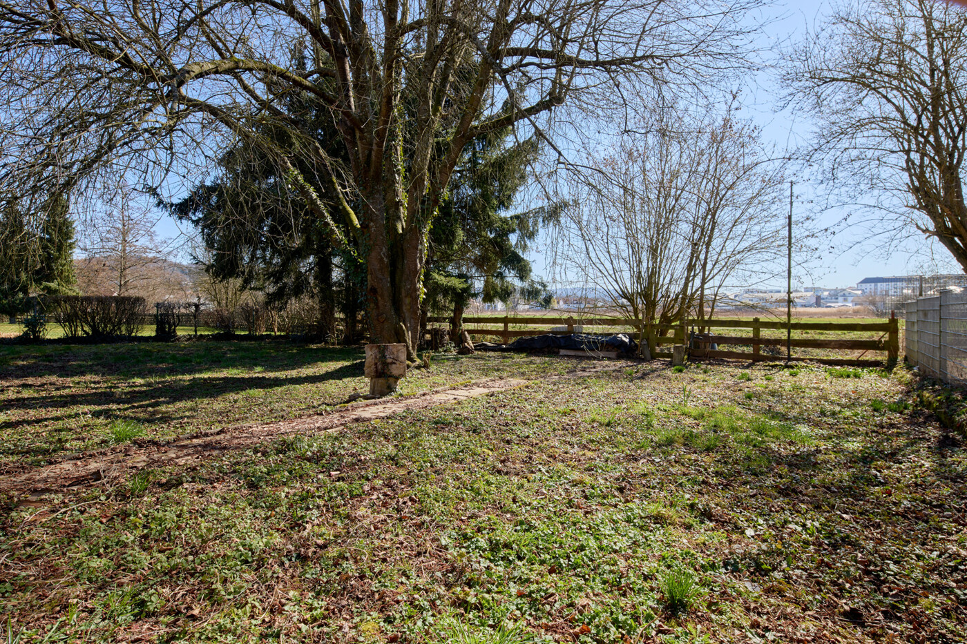 Weitläufiger Garten 