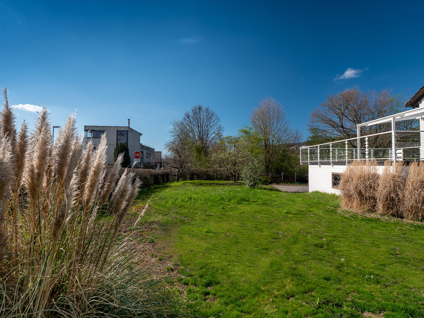 12_364_Aussenansicht_Rasen_Haus_Maennedorf