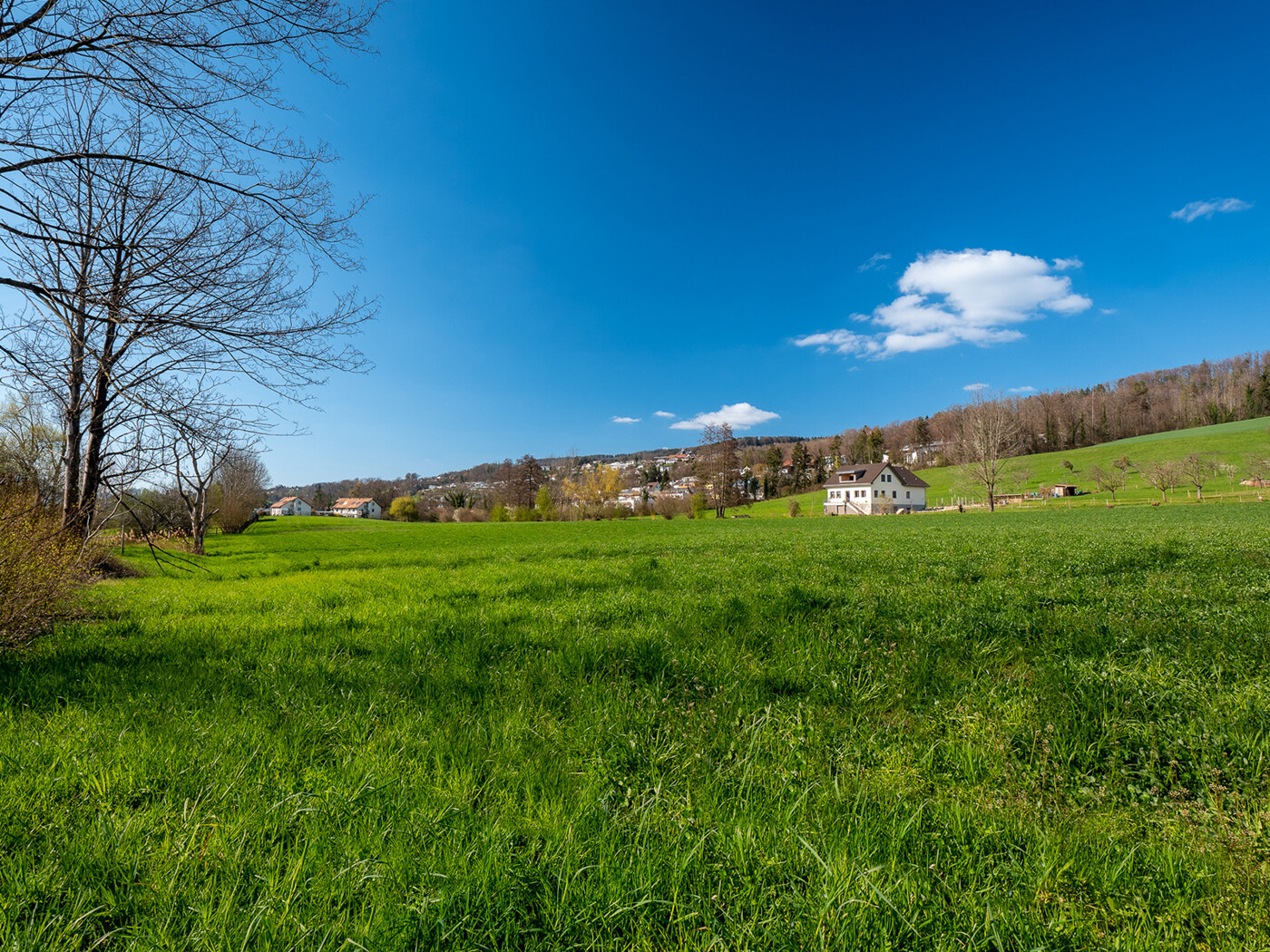09_373_Naturschutzgebiet_Wiese_Haus_Maennedorf