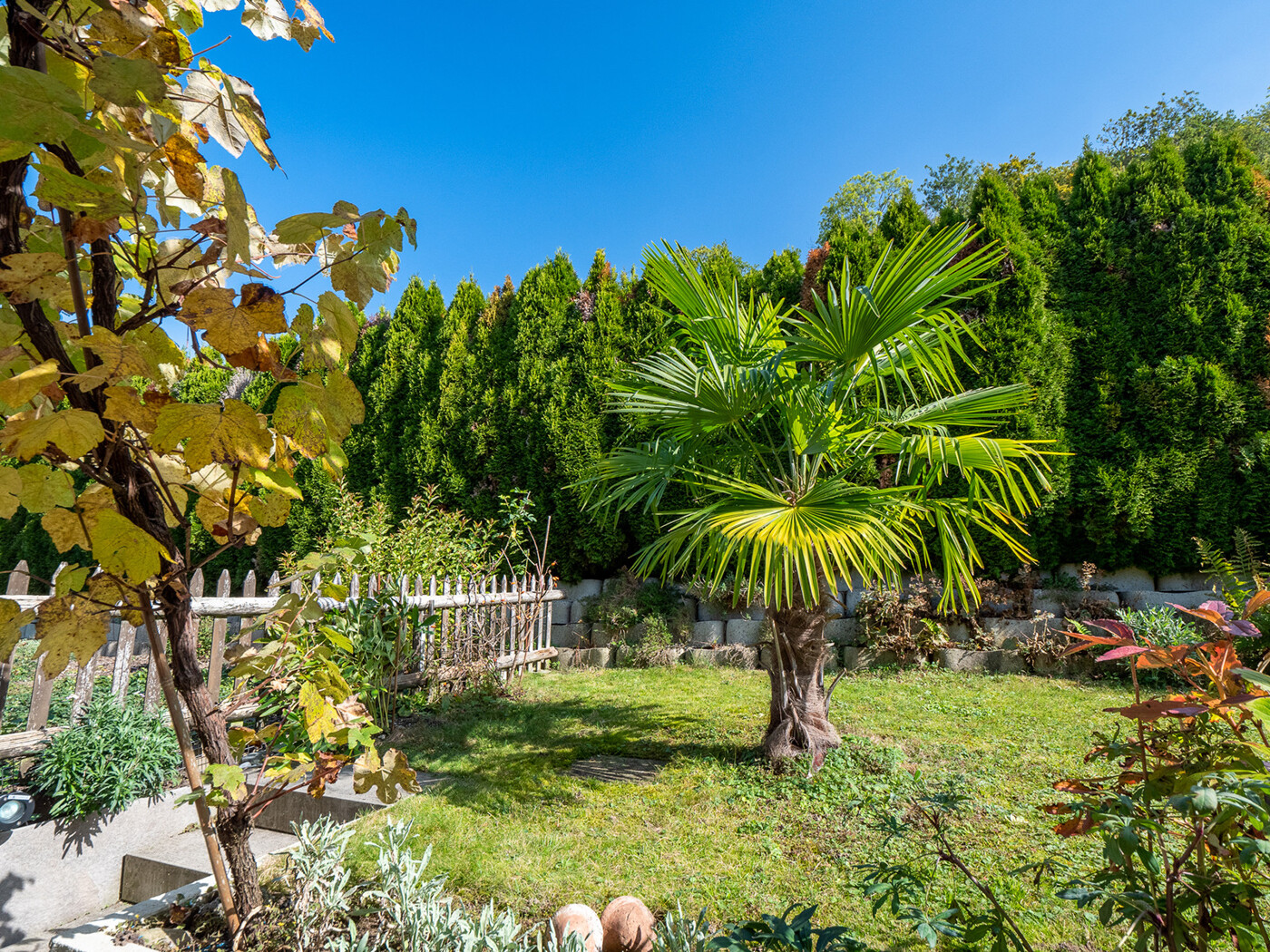 06.626_Garten-palme_Reihenhaus_Bonstetten_.10.2022