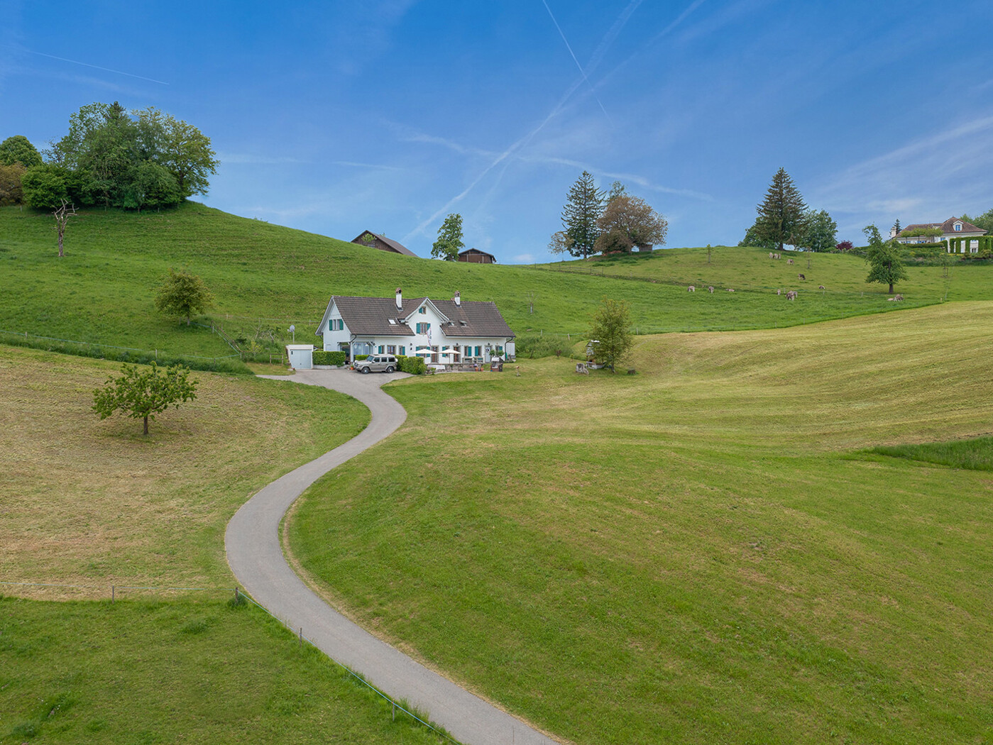 03.-503_Wiese-Haus_Zuerichsee_Drohne_Schoenenberg Kopie