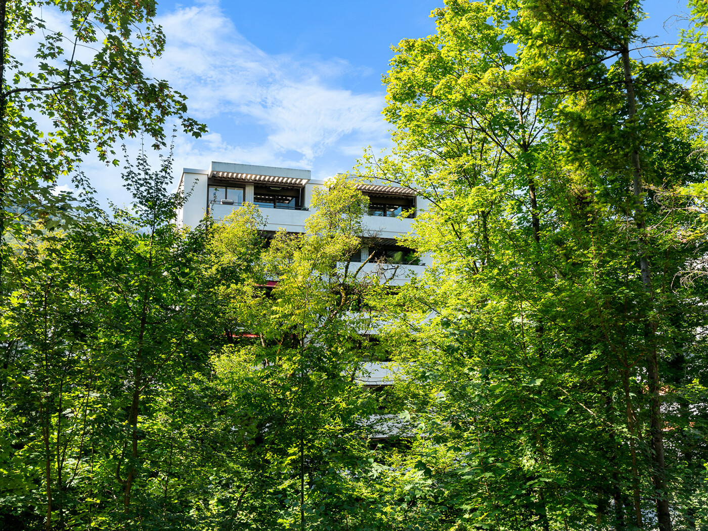 17.035_Aussenansicht_Wohnung_Tuchmacherstrasse_28.08.2024_NSH