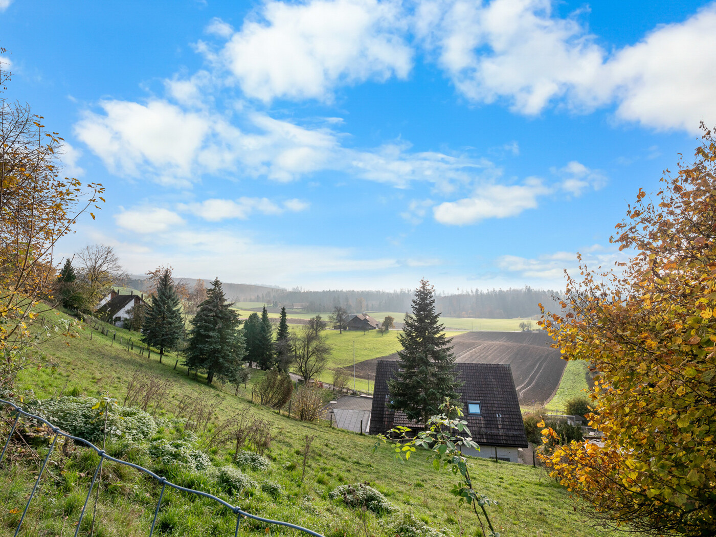 24.304_BONUS_Haus_Affoltern-a-A_11.2024_NSH