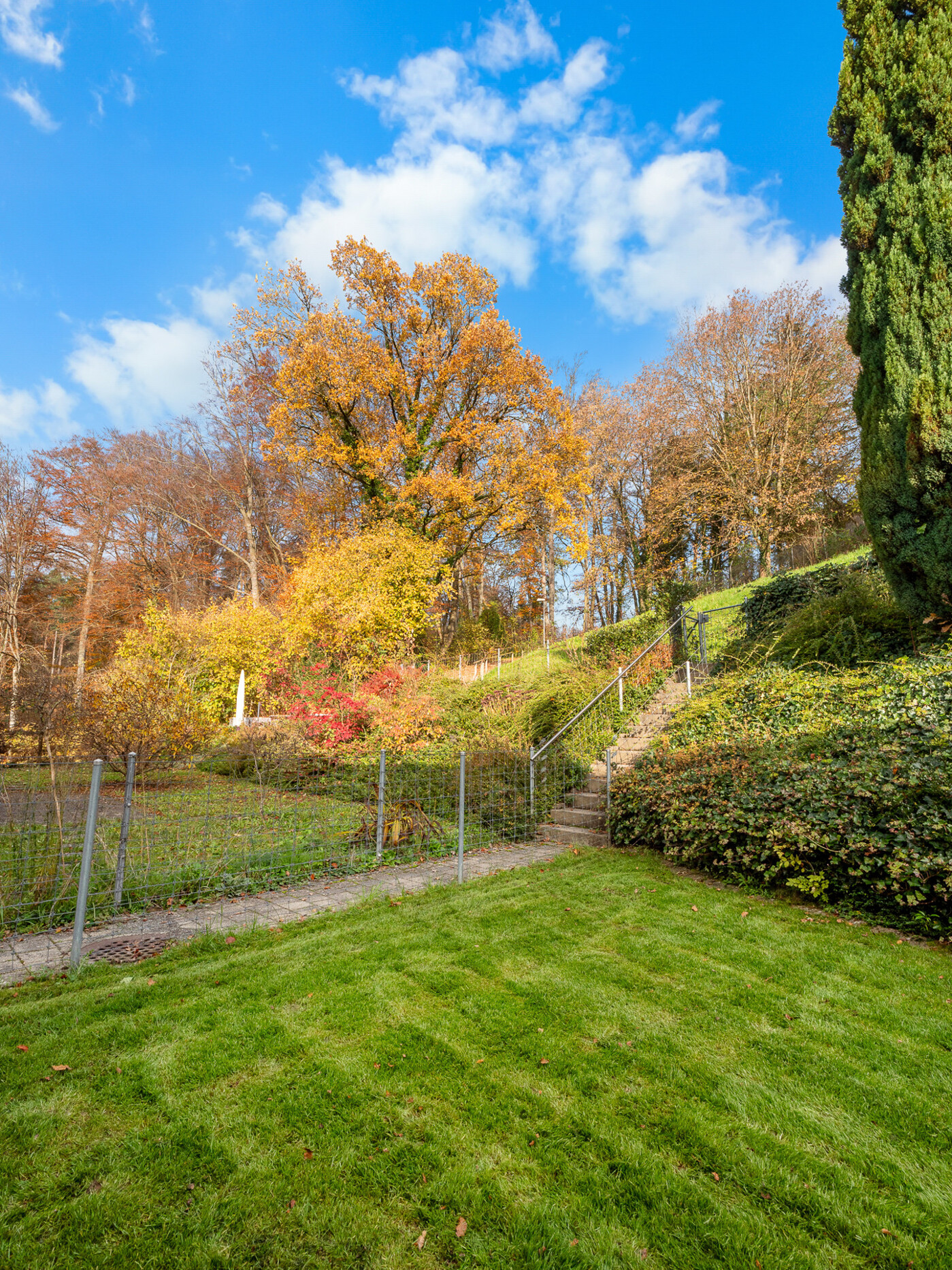 21.283_Haus_Affoltern-a-A_11.2024_NSH