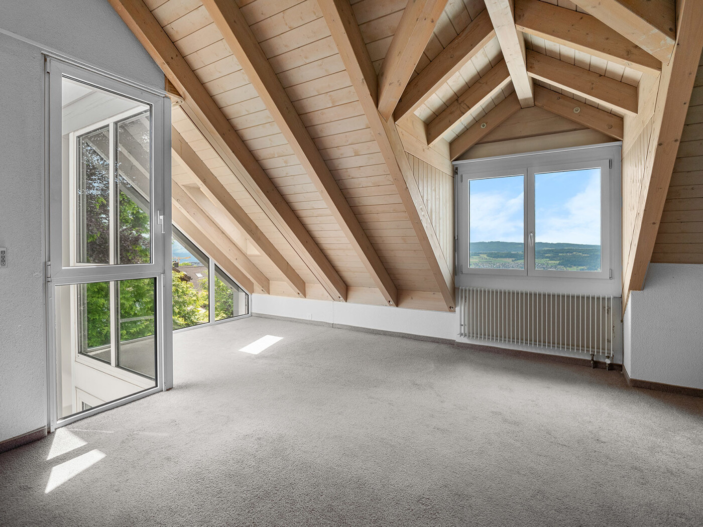 14.639_Haus Bellikon_31.05.2025