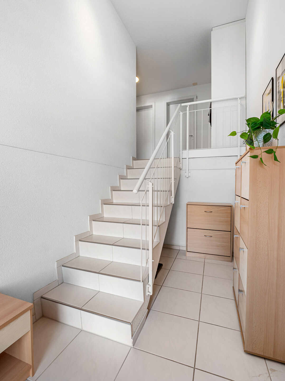 03.245 Haus Birmensdorf 03-2026_NSH
