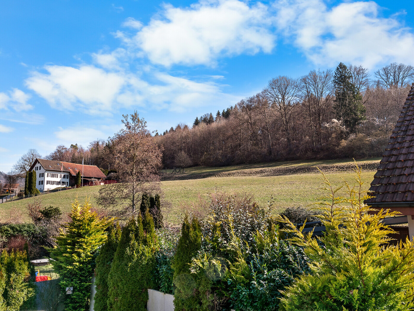 20.389 GRATIS Haus Birmensdorf 03-2026_NSH
