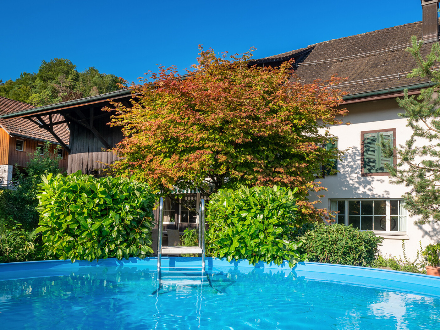 22.337_Gartenbereich_Pool_Haus-Rückseite_Landikon_18.07.2024_NSH