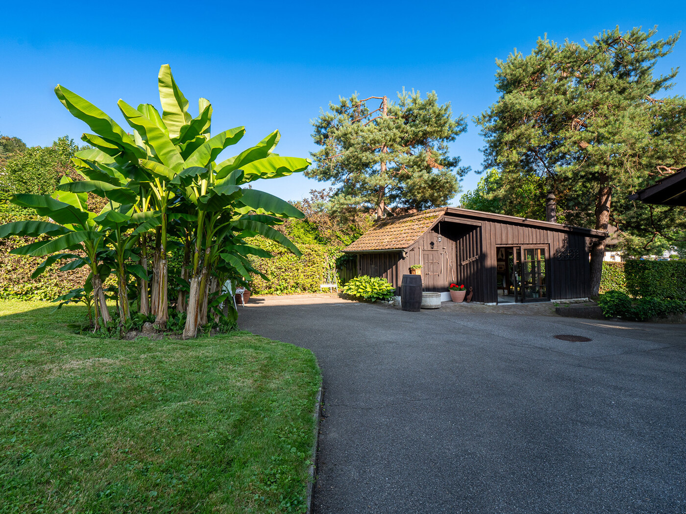 11.313_Vorplatz_Einfahrt_Haus_Landikon_18.07.2024_NSH