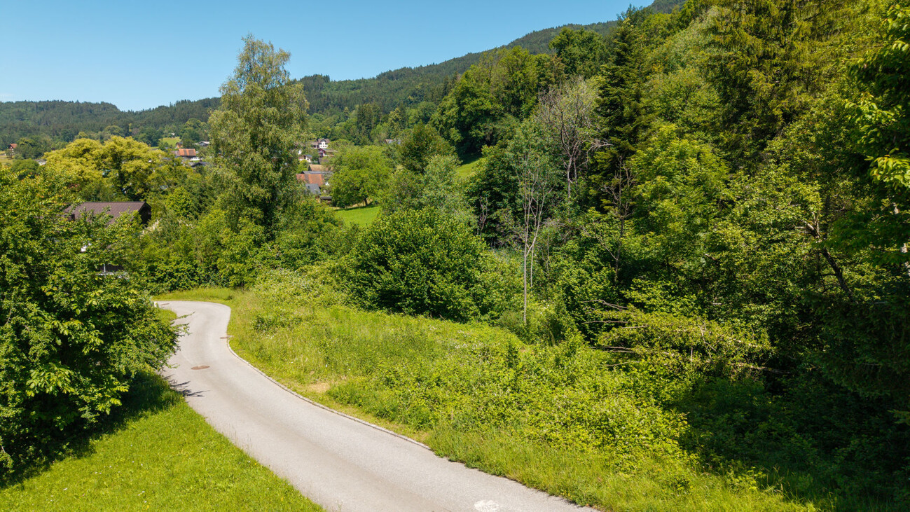 Immobilie 6 Zufahrtsstraße