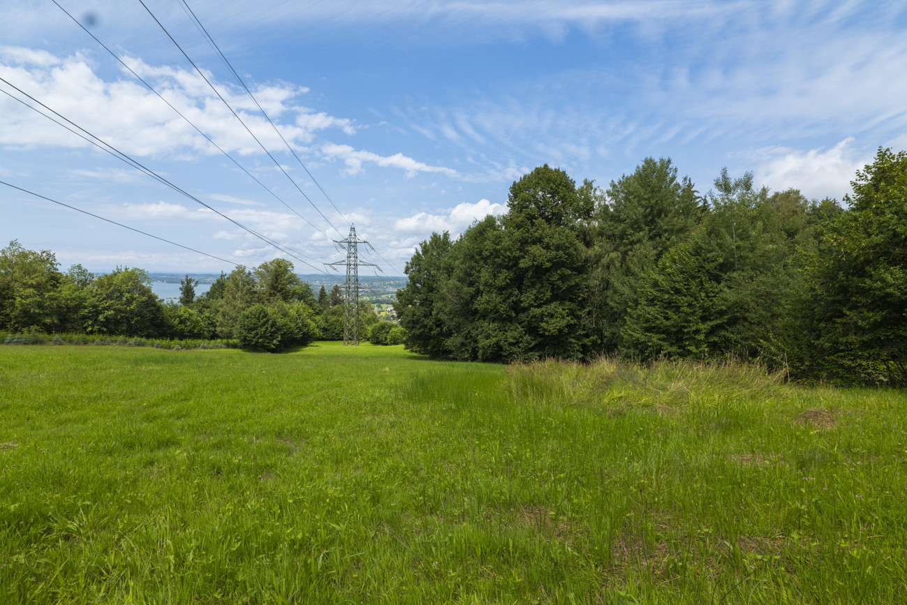 Blickrichtung Norden 