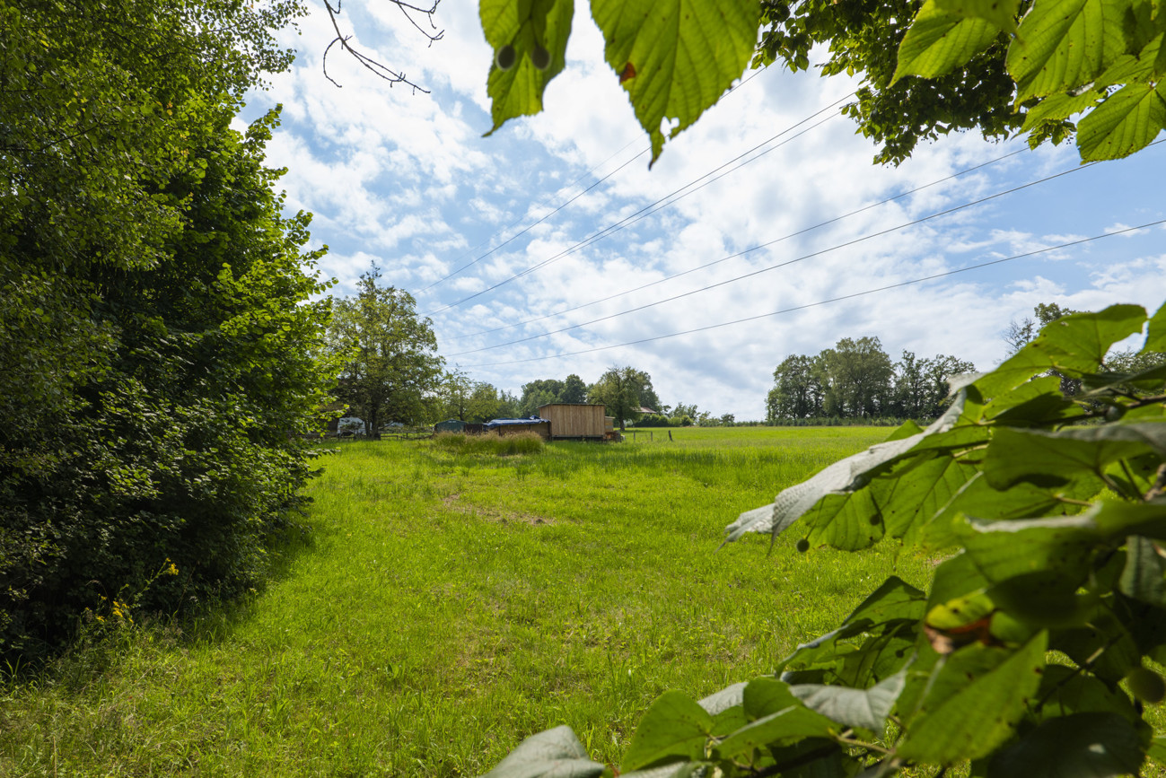 Blickrichtung Süden