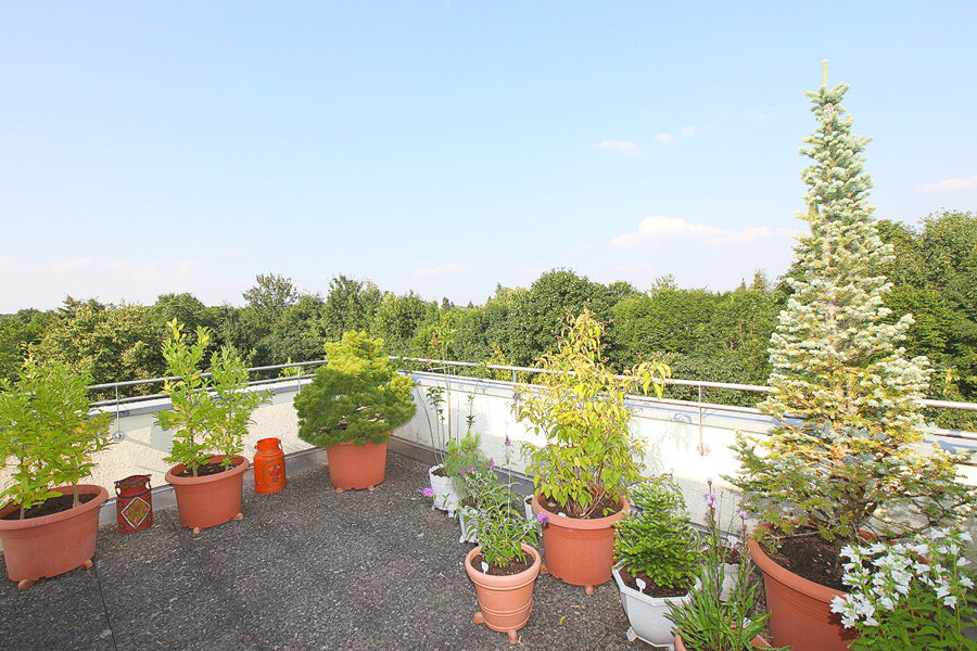 Fantastische Dachterrasse